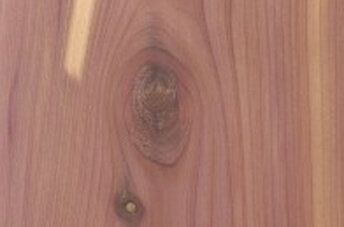 Aromatic Cedar