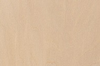 Basswood 1