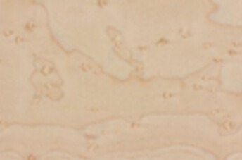 Birdseye Maple 1