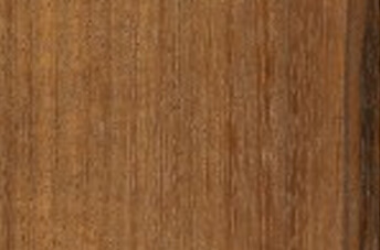Caribbean Walnut