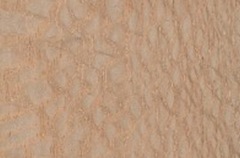 Lace Wood