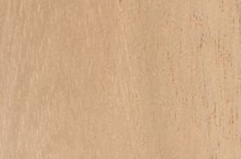 Spanish Cedar